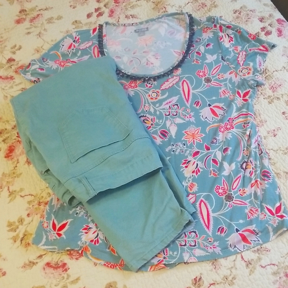 Plus Size Spring Crop Pants and Matching Top